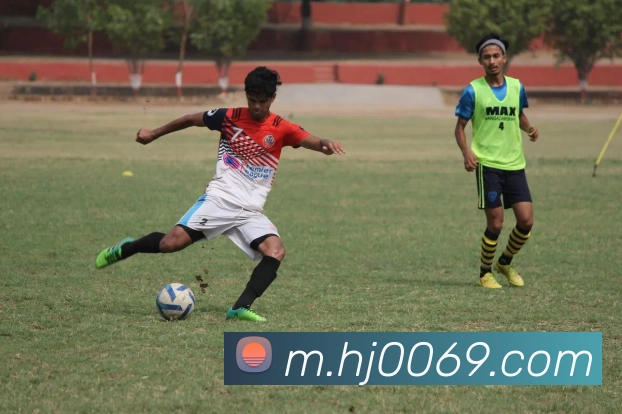 多彩内容专区